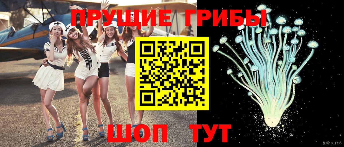 Краснодар  Галлюциногенные грибы GOLDEN TEACHER  Вход с VPN  Псилоцибиновые грибы MAGIC MUSHROOMS 