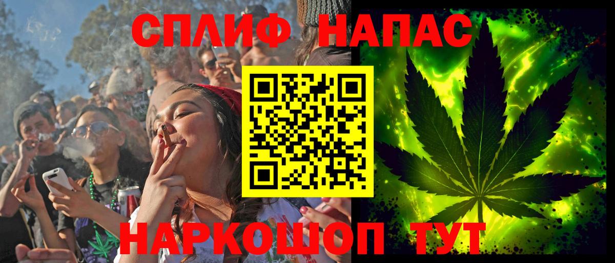 Бошки Шишки семена Краснодар